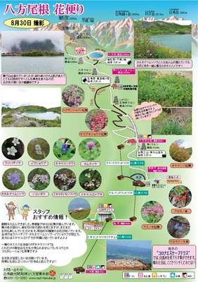 ヤギと花