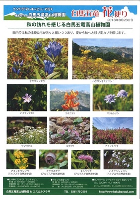 ヤギと花