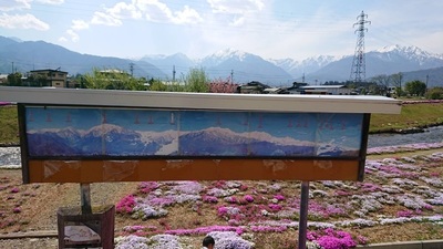 農具川芝桜