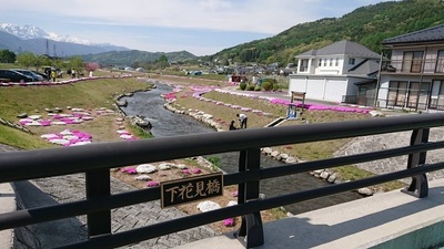 農具川芝桜