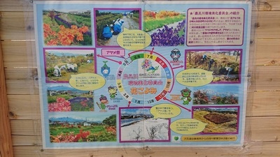 農具川芝桜