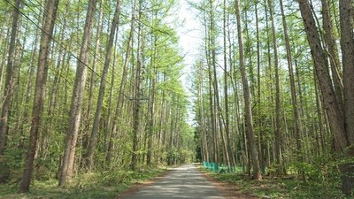 居谷里湿原