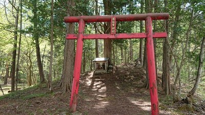居谷里湿原