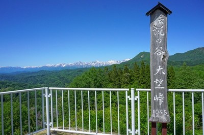写真な一日