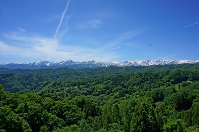 写真な一日