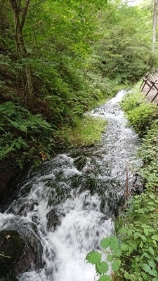 DSC_0256sm.jpg