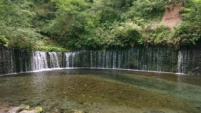 DSC_0261sm.jpg