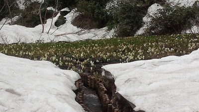 DSC_1178.jpg