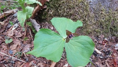 DSC_1197.jpg
