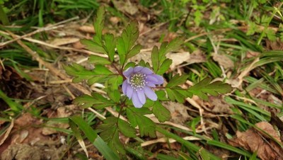 DSC_1205.jpg