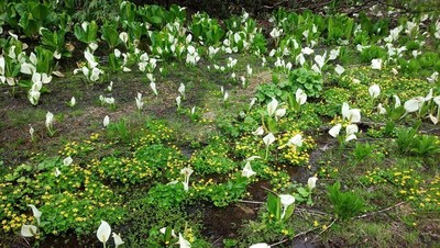 DSC_1212.jpg