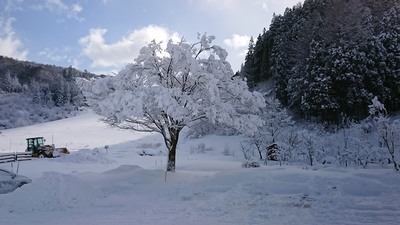 シーズン初の大雪