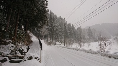 DSC_1954s.jpg