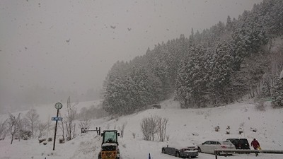 DSC_1960s.jpg