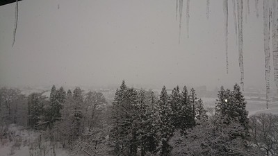 DSC_1964s.jpg
