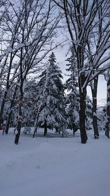 大雪日和