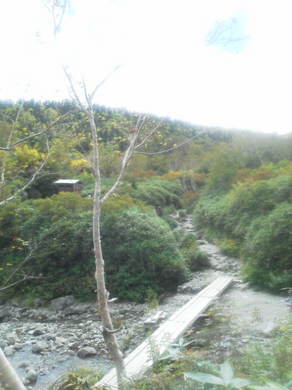 栂池自然園紅葉