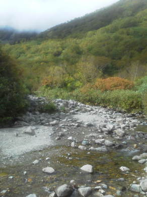 栂池自然園紅葉