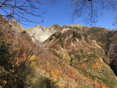IMG_2295.jpg