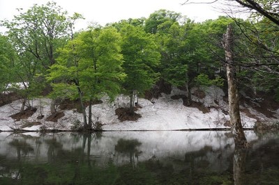 鎌池