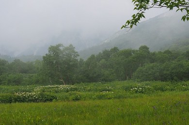 栂池自然園