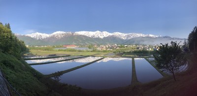 待っていました!