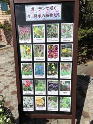 s-IMG_3291.jpg