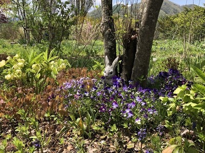s-IMG_3340.jpg