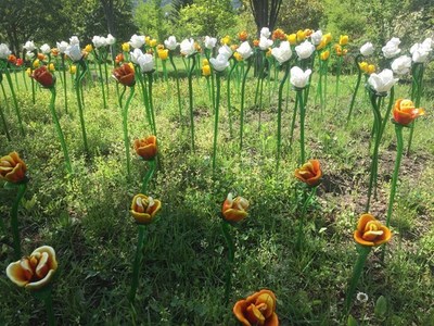 s-IMG_6241.jpg