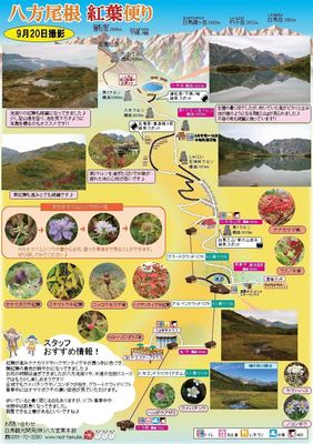 紅葉情報