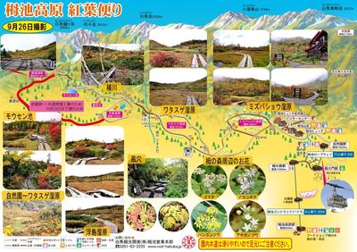 紅葉の栂池高原