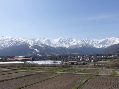 大出さんぽ