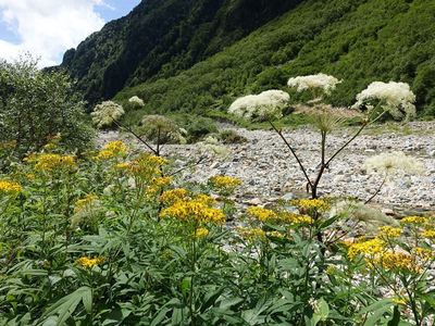 槍ヶ岳へ
