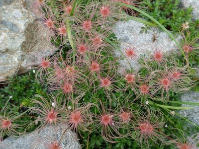 槍ヶ岳山荘へ