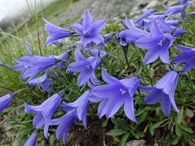槍ヶ岳山荘へ