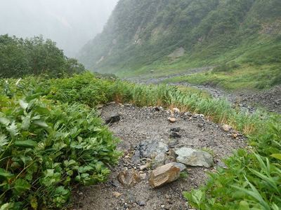 槍ヶ岳にて