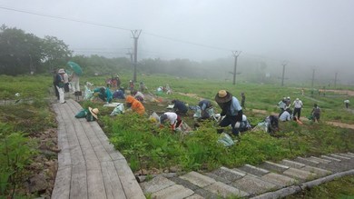 五竜高山植物園