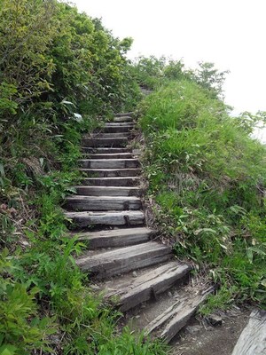 五竜高山植物園