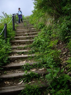 五竜高山植物園