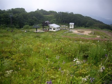 五竜高山植物園