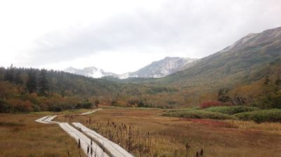紅葉の栂池自然園