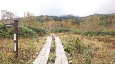 紅葉の栂池自然園