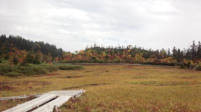 紅葉の栂池自然園