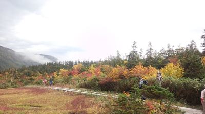 紅葉の栂池自然園