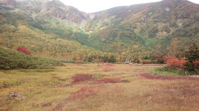 紅葉の栂池自然園