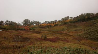 紅葉の栂池自然園