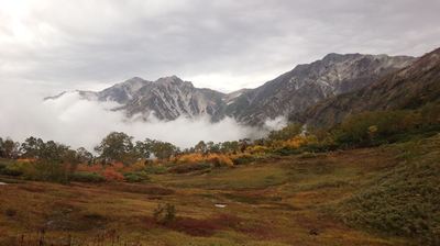 紅葉の栂池高原
