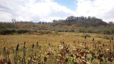 紅葉の栂池高原