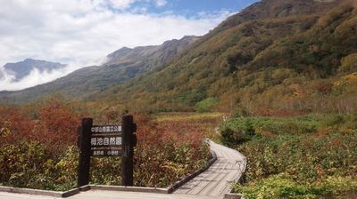 紅葉の栂池高原