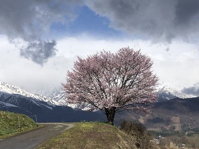 sIMG_3172.jpg